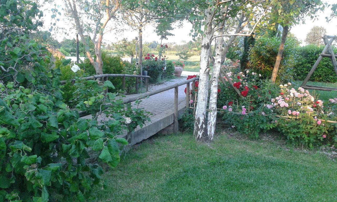 Fattoria Belvedere Bellaria-Igea Marina Exterior photo