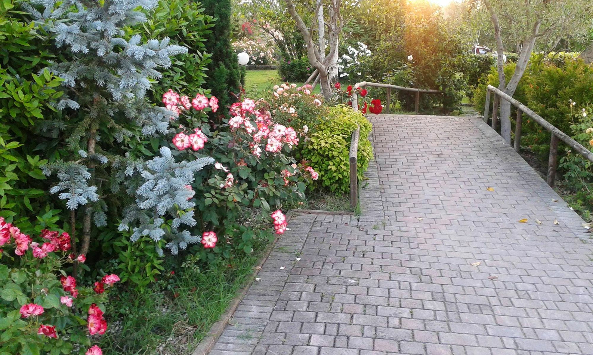 Fattoria Belvedere Bellaria-Igea Marina Exterior photo