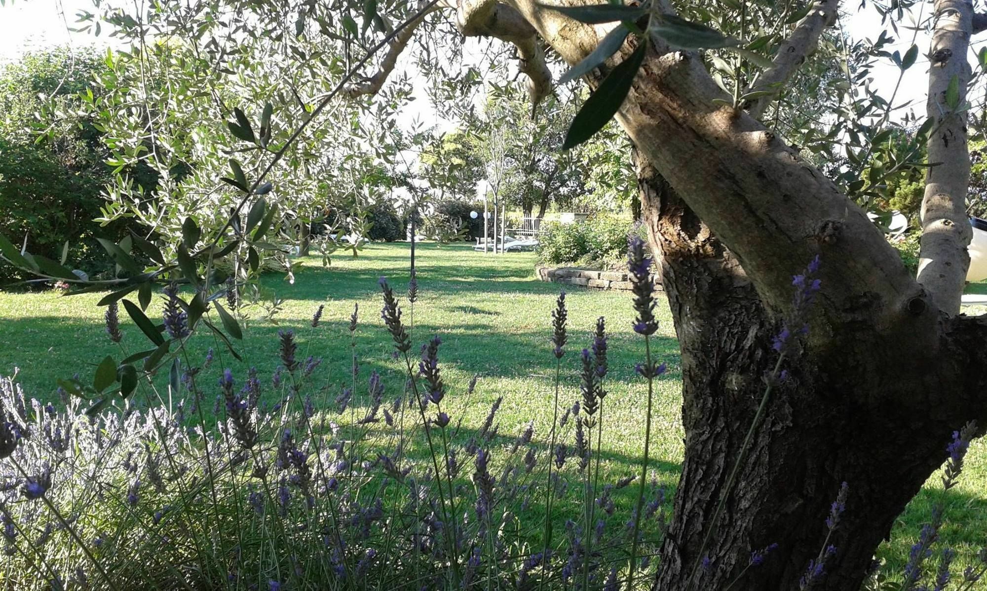 Fattoria Belvedere Bellaria-Igea Marina Exterior photo