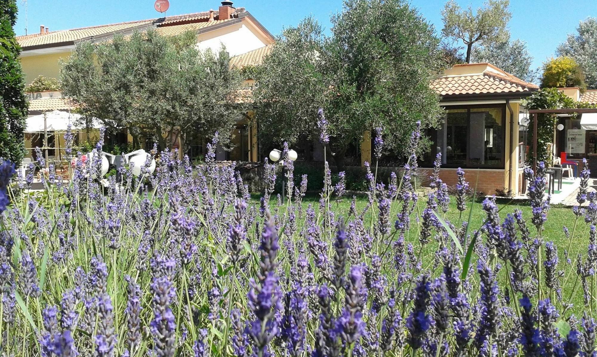 Fattoria Belvedere Bellaria-Igea Marina Exterior photo